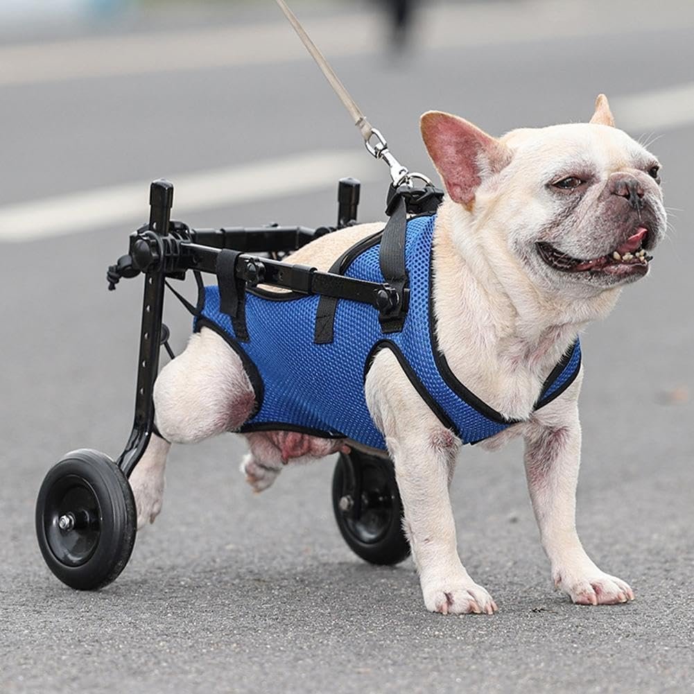 SmartWalk Mobility Harness for disabled dogs